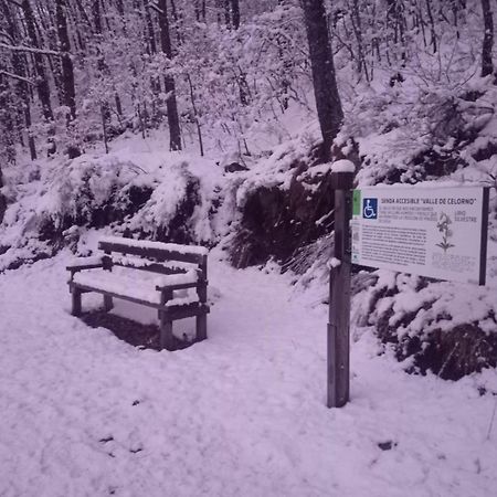 Апартаменти Montes De Lillo --Vut Le 625 Пуебла-де-Лільйо Номер фото
