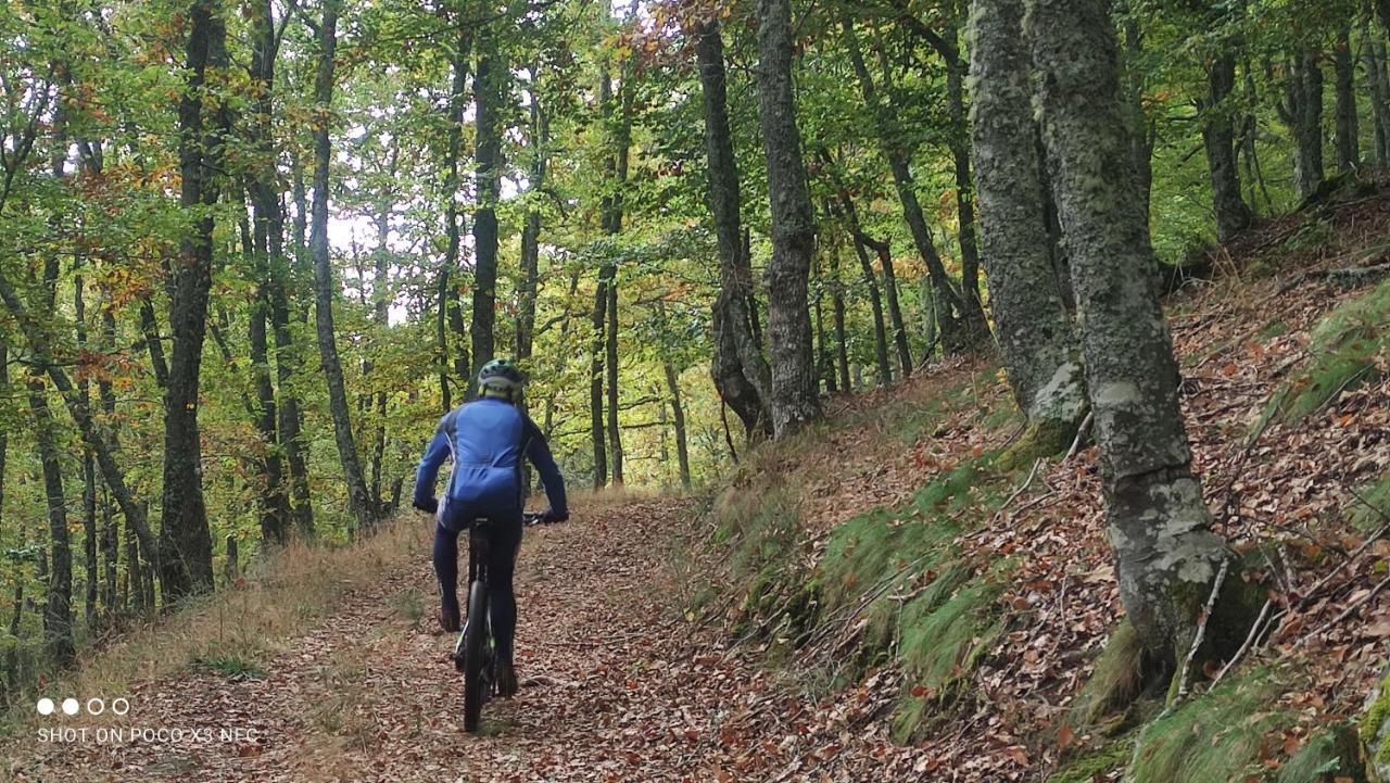 Апартаменти Montes De Lillo --Vut Le 625 Пуебла-де-Лільйо Екстер'єр фото