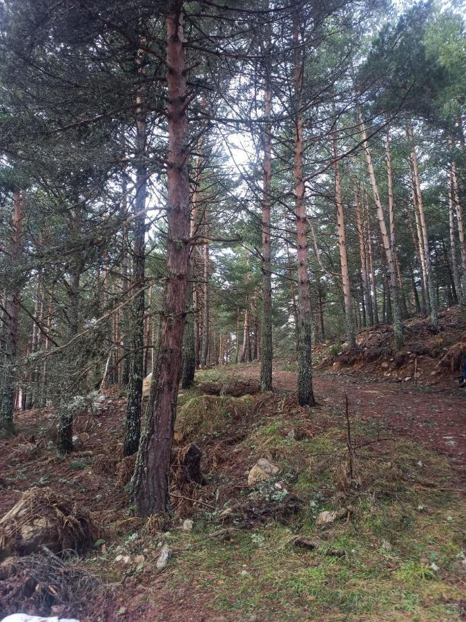 Апартаменти Montes De Lillo --Vut Le 625 Пуебла-де-Лільйо Екстер'єр фото